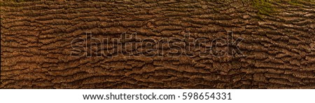 Embossed texture of the bark of oak. Panoramic photo of the oak texture. Royalty-Free Stock Photo #598654331
