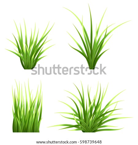 Set realistic vector  grass. Bush of fresh grass of various shapes. Isolated element for design, nature landscape illustration. Royalty-Free Stock Photo #598739648