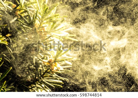 Cloud of pollen tree  Royalty-Free Stock Photo #598744814