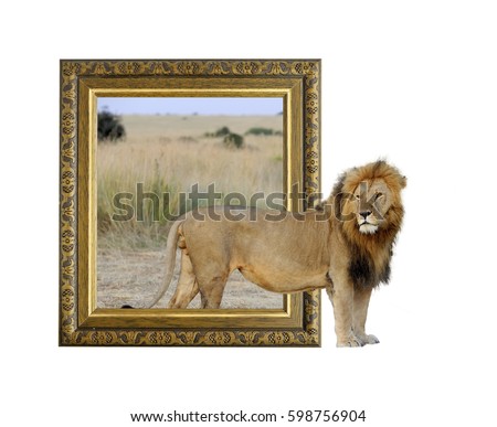 Lion in old wooden frame with 3d effect