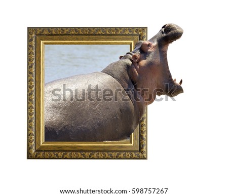 Hippo in old wooden frame with 3d effect