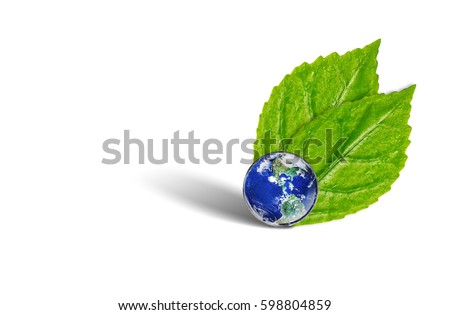 Earth on green leafs, Earth day concept, Elements of this image furnished by NASA