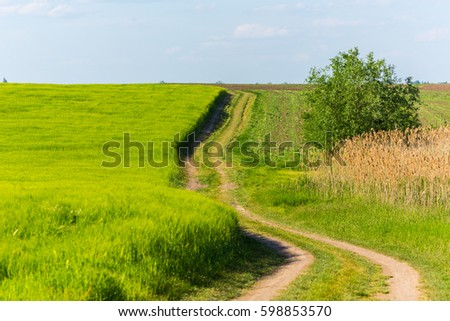 Abstract rural scenery in spring, with infinite horizon, dirt country road, bright colors, along natural lake with reed plants