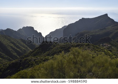 Bushes and plants in foreground and volcano stone and lava formation in background, picture from Teide volcano Tenerife Spain.