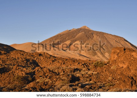 Top of Teide Volcano in the morning lite with some vegetation in foreground, picture from Tenerife Spain.