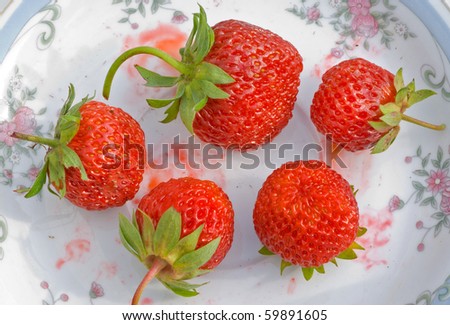 A close up of the berries of strawberry on plate.