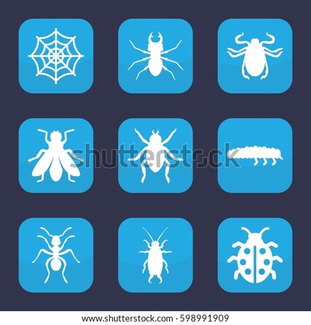 bug icon. Set of 9 filled bug icons such as beetle, ant, fly, spider web, ladybug