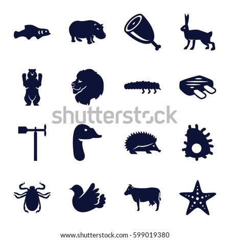 animal icons set. Set of 16 animal filled icons such as lion, cow, hedgehog, bear, hippopotamus, rabbit, beetle, goose, weather vane, caterpillar, bird, meat, starfish