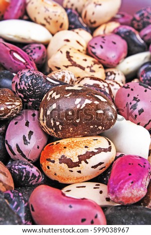 Beautiful mixed beans as background.  Raw colorful beans texture.