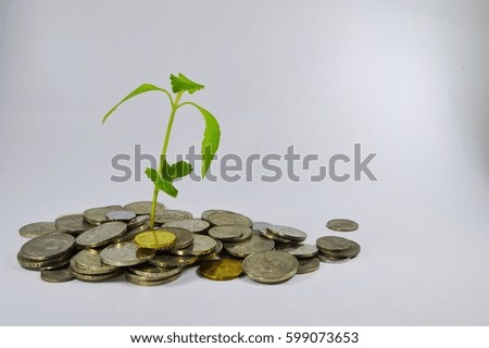  plant and coins , currency, investment and business concepts. White background. Selective focus.