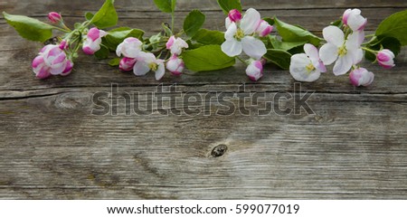 Beautiful Natural background with Apple flowers lying on top on the old brown wooden texture. Springtime. Web banner Wide Horizontal Image With Copy Space