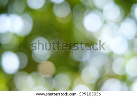 Photo of bokeh lights on black background. Abstract effect for texture on tree.