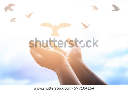 Human hands open palm up worship. Eucharist Therapy Bless God Helping Repent Catholic Easter Lent Mind Pray. Christian concept background. fighting and victory for god Royalty-Free Stock Photo #599104154