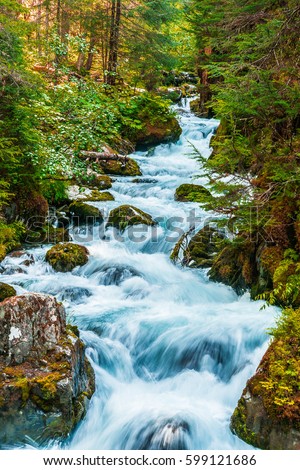 Virgin Creek.  Virgin Creek, a popular river in Alaska, that is fed by glacier run off.   Royalty-Free Stock Photo #599121686