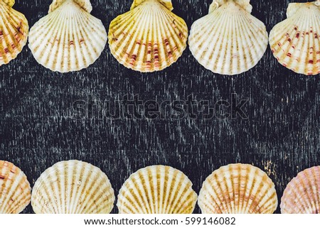 Background of shells of scallops on an old wooden background. Sea concept.