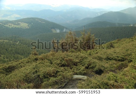 Mountain chain in The Carpathians (Ukraine). Beautiful mountain forest landscape before storm. Amazing Green forest in clouds.