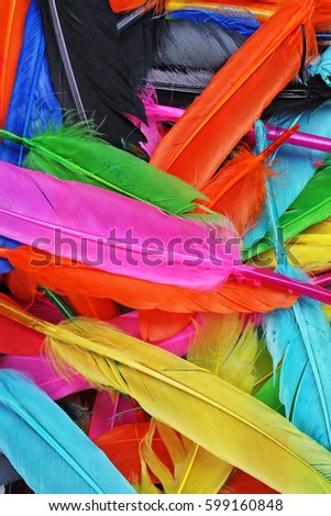 Feathers texture. Beautiful colored vibrant bird feather photo as background. Colorful feather pattern.