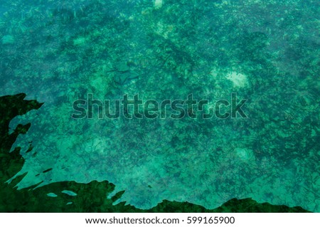 background of green sea water