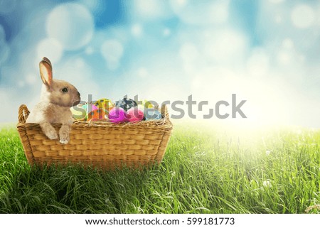 Picture of Easter bunny with colorful Easter eggs in the basket, shot with a light glitter background