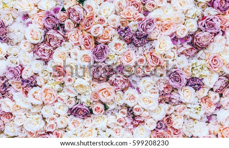Flowers wall background with amazing red and white roses, Wedding decoration, hand made. Toning Royalty-Free Stock Photo #599208230