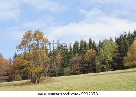 autumn trees on meadow at mountains by name Jesenik at Czech republic