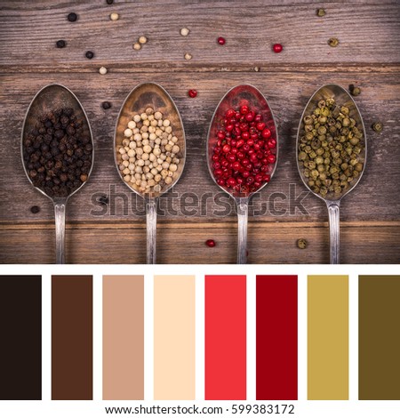 A variety of peppercorns in old silver spoons. In a colour palette with complimentary colour swatches.