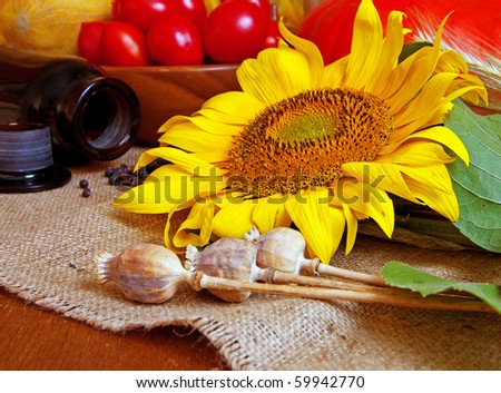 Autumnal yield of vegetables with sunflower still life