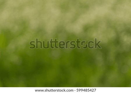 Abstract natural green and brown background