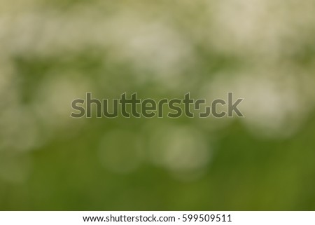 Abstract natural green, white and brown background
