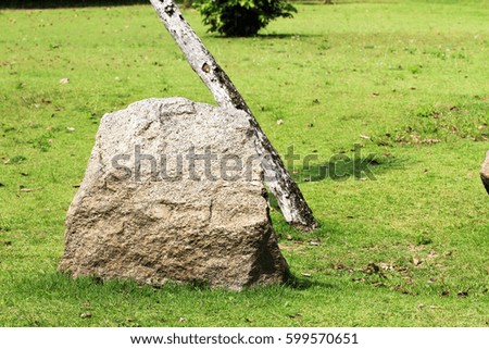 Rock , Stone  in the park