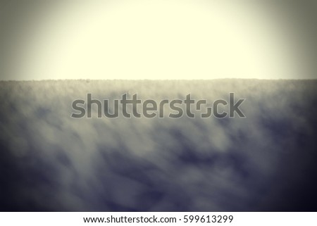 Picture blurred  for background abstract and can be illustration to article of grass