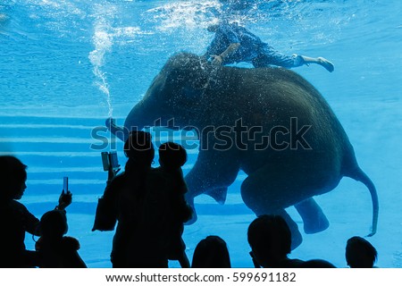 Silhouettes of people to see Asian elephant swimming underwater in Aquarium