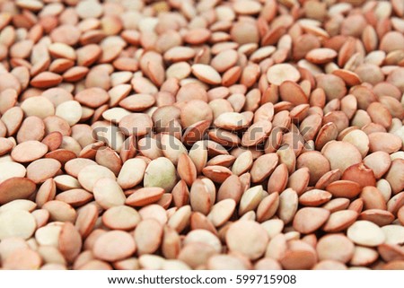 
Eating lentil texture. Lentils pattern as background. 
Studio food photo texture photography.