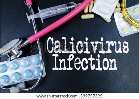 Calicivirus Infection word, medical term word with medical concepts in blackboard and medical equipment