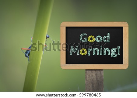 Metallic tiger beetle behind stem and blackboard with words "Good Morning!".