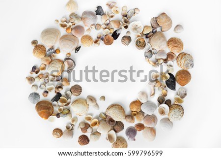 seashells background. Circle of sea shells white background. Nautical composition. Sea shells, starfish on a white background. Flat plan, top view,
