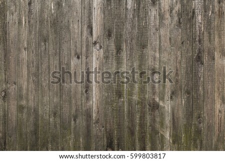 Old wooden background. Grunge board. Rustic
