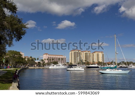 Sailboats in Tampa bay