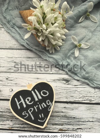 hello spring with snowdrops. hello spring on chalkboard. shabby spring. girl holds a heart chalkboard for spring