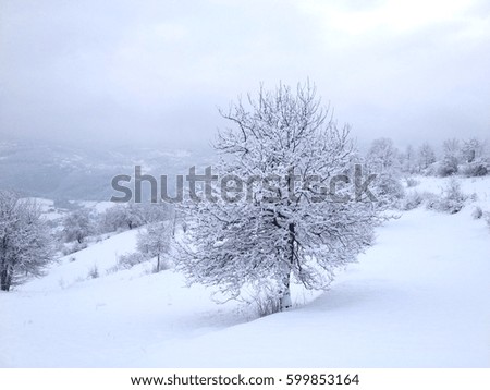 Winter landscape with snow
