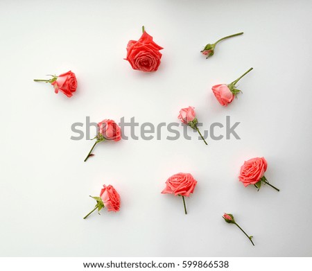 pattern with roses, pink flower buds, branches and leaves isolated on white background. top view.