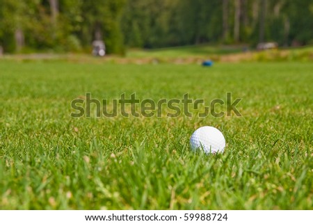 Golf ball on green. Shallow depth of field. Focus on the ball.