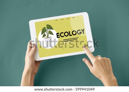Ecology Environment Green Natural Plants