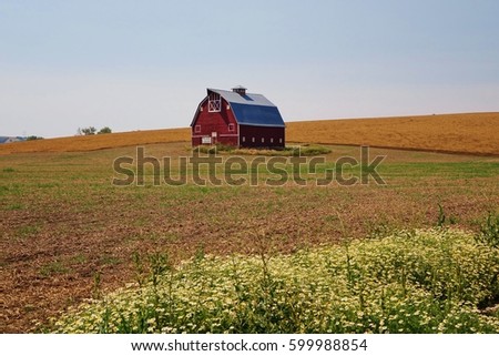 Wide view of red barn that has a "Palouse Country" sign on it. The barn is atop a rolling hill with a wheat field in the background, daisies growing in the foreground on a nice summer day in WA state.