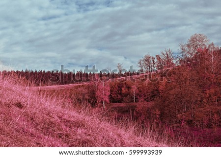 Nature in autumn,infrared