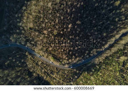 Aerial view of the Italian forest