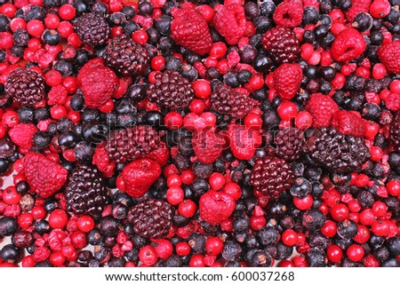 Berries. Frozen mixed berries as background. Blueberries,raspberries black berries and currant mulberry texture pattern.