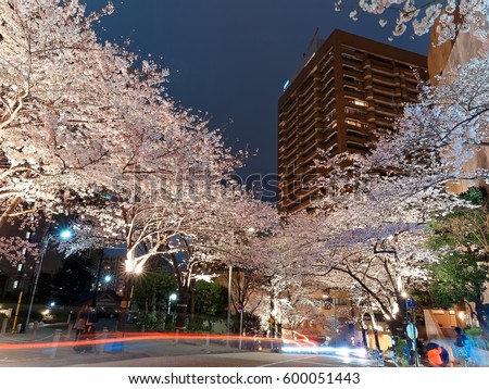 Night scenery of Roppongi Ark Hills in Downtown Tokyo during Sakura Matsuri Festival, with the light trails of cars on the street and the romantic illuminations of cherry blossom trees on the sidewalk