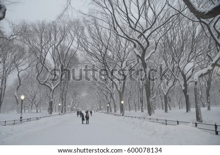 Central Park in the winter, NYC