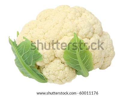 a fresh harvested cauliflower